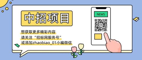 投標(biāo),注意事項,項目,ppp