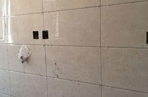 墻面磚鋪貼注意事項,貼磚注意事項及細(xì)節(jié),外墻貼磚注意事項