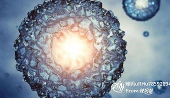 細(xì)胞美雕后注意事項(xiàng),細(xì)胞美療后注意事項(xiàng),細(xì)胞傳代注意事項(xiàng)