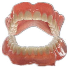 義齒,適應(yīng)癥,注意事項,活動