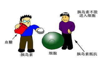 糖尿病,注意事項(xiàng),預(yù)防