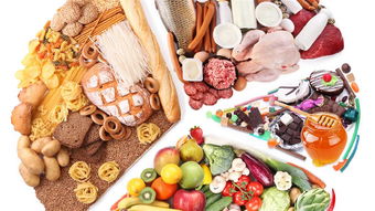 聶葉癲癇飲食注意事項