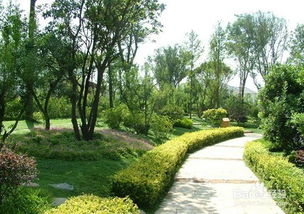 園林綠化,注意事項,施工