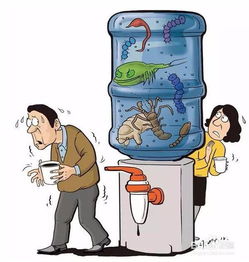 犬疫苗接種注意事項(xiàng),犬留置針的注意事項(xiàng),老年犬注意事項(xiàng)