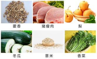 濕熱體質(zhì)的注意事項(xiàng),濕熱體質(zhì)的人注意事項(xiàng),關(guān)于濕熱體質(zhì)之人運(yùn)動(dòng)的注意事項(xiàng)正確的是