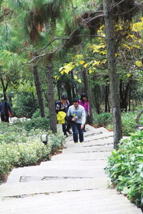 森林公園規(guī)劃注意事項