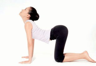 瑜伽,注意事項,舞蹈