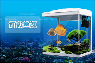 定做,注意事項,龍魚