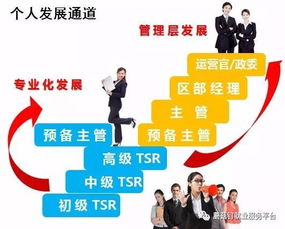 應(yīng)聘招聘顧問需要注意事項,應(yīng)聘總經(jīng)理助理的注意事項,應(yīng)聘禮儀與注意事項