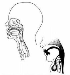 鰓裂囊腫術(shù)后注意事項(xiàng),鰓裂囊腫手術(shù)后需要注意事項(xiàng),前庭大腺囊腫術(shù)后注意事項(xiàng)