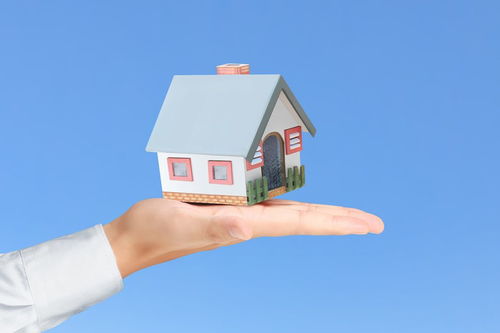 有什么,定金,售樓處,注意事項