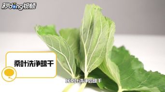 休眠,注意事項(xiàng)