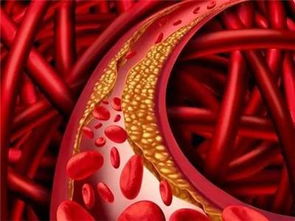 先天性心臟血管狹窄注意事項,心臟和血管評估的注意事項,心臟血管堵塞注意事項