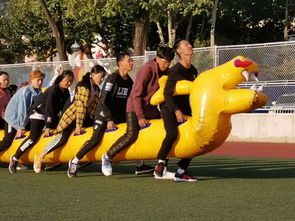 運(yùn)動(dòng)會(huì)服裝上注意事項(xiàng)