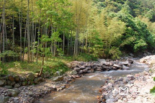 河邊野外郊游注意事項