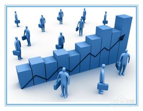 注意事項(xiàng),領(lǐng)導(dǎo),組織,討論