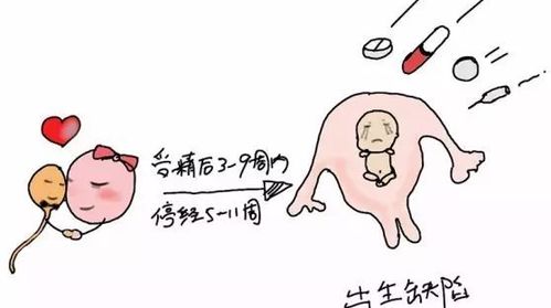 藥流坐月子注意事項