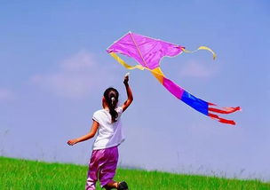 放風(fēng)箏活動(dòng)注意事項(xiàng)