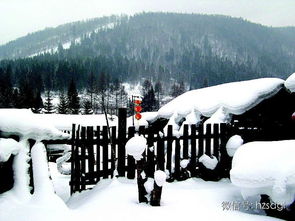 注意事項(xiàng),冬天