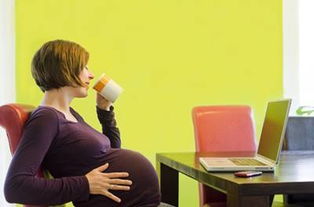 懷孕初期注意事項(xiàng),貓咪懷孕注意事項(xiàng),懷孕初期注意事項(xiàng)和飲食禁忌