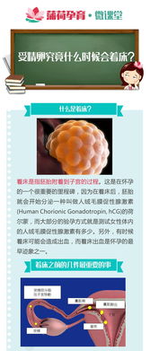 著床當(dāng)天注意事項