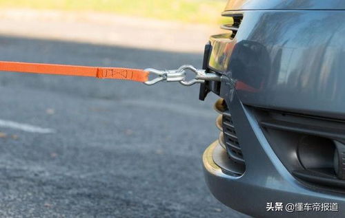 用車,沙漠,注意事項