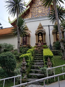 清邁自由行注意事項