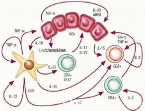 注射生長(zhǎng)源應(yīng)該注意事項(xiàng)