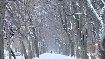 關(guān)于暴風(fēng)雪的注意事項(xiàng)