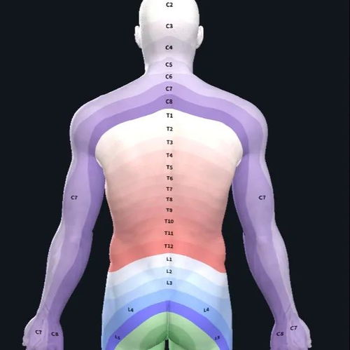 胸廓,注意事項(xiàng),檢查