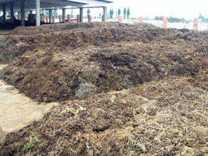 有機(jī)肥有機(jī)質(zhì)含量測(cè)定注意事項(xiàng)