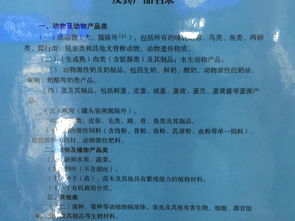 出海關(guān)注意事項(xiàng)