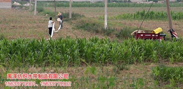 灌溉,過(guò)程中,注意事項(xiàng),水帶