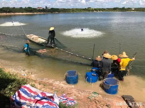 食鹽運(yùn)輸注意事項(xiàng)