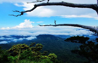 爬五指山注意事項