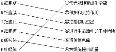 苯胺,易燃,毒性,注意事項