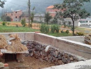 養(yǎng)蜂,注意事項(xiàng)