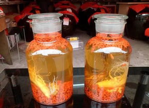 藥材,注意事項,泡酒