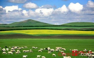 內(nèi)蒙古攻略注意事項(xiàng)