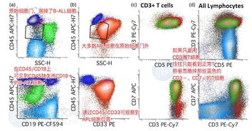 尿流式注意事項