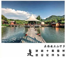 四肢攝影的注意事項,x線攝影的注意事項,乳腺攝影注意事項