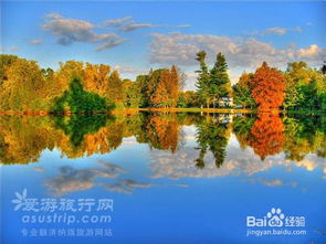 額濟納旗,注意事項,旅游,胡楊