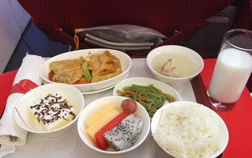 飛行員的注意事項,飛行員復(fù)檢注意事項,飛行員體檢注意事項