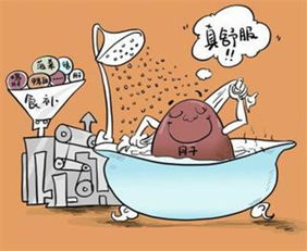 肝膽排毒后的注意事項(xiàng)和飲食,肝膽排毒后的注意事項(xiàng)和飲食課件,做了肝膽排毒后注意事項(xiàng)