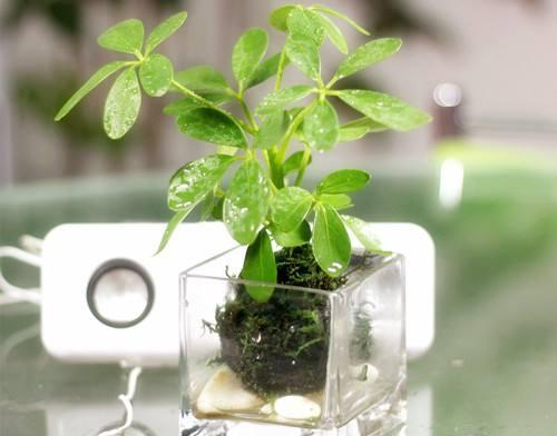 請家仙的注意事項(xiàng),家里請仙家注意事項(xiàng),給仙家燒紙的注意事項(xiàng)