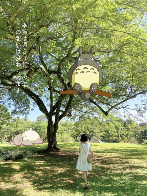 西雙版納購(gòu)物注意事項(xiàng)