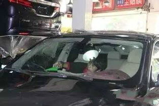 注意事項(xiàng),玻璃,汽車,換全檔