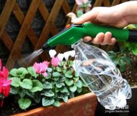 竹筒養(yǎng)花需要注意事項,養(yǎng)花注意事項如何養(yǎng)好花,珍珠巖養(yǎng)花注意事項