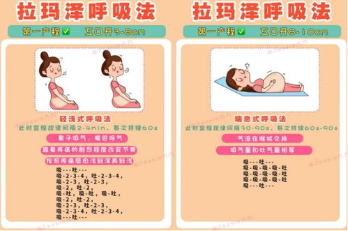 懷孕每個階段注意事項,懷孕各階段注意事項,懷孕不同階段注意事項