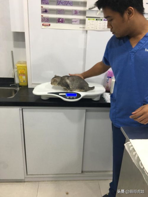 去機場接領(lǐng)導注意事項,去機場接老板的注意事項,去機場接人注意事項